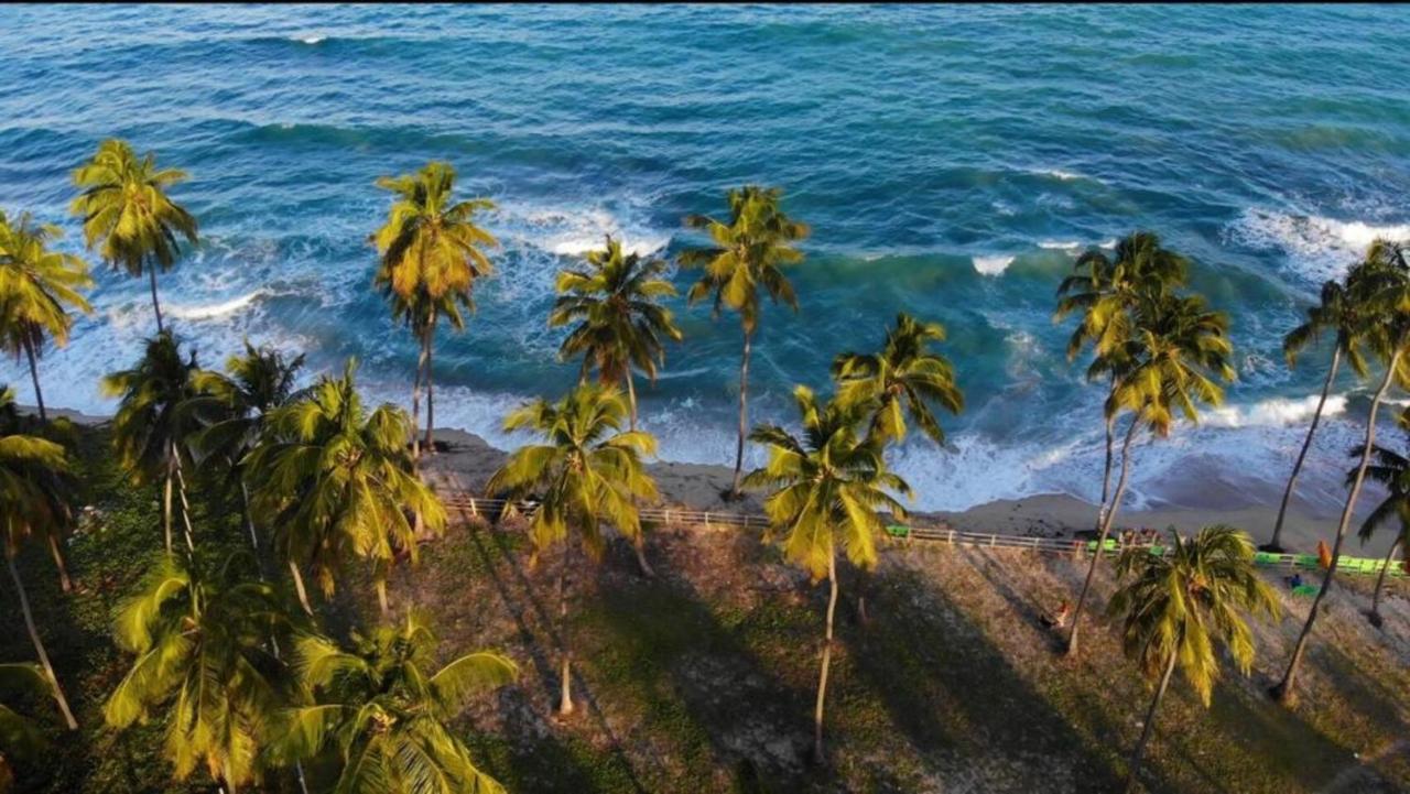 Bangalo Luxo Beira Mar Carneiros Beach Resort Прайя дос Карнейрос Екстериор снимка